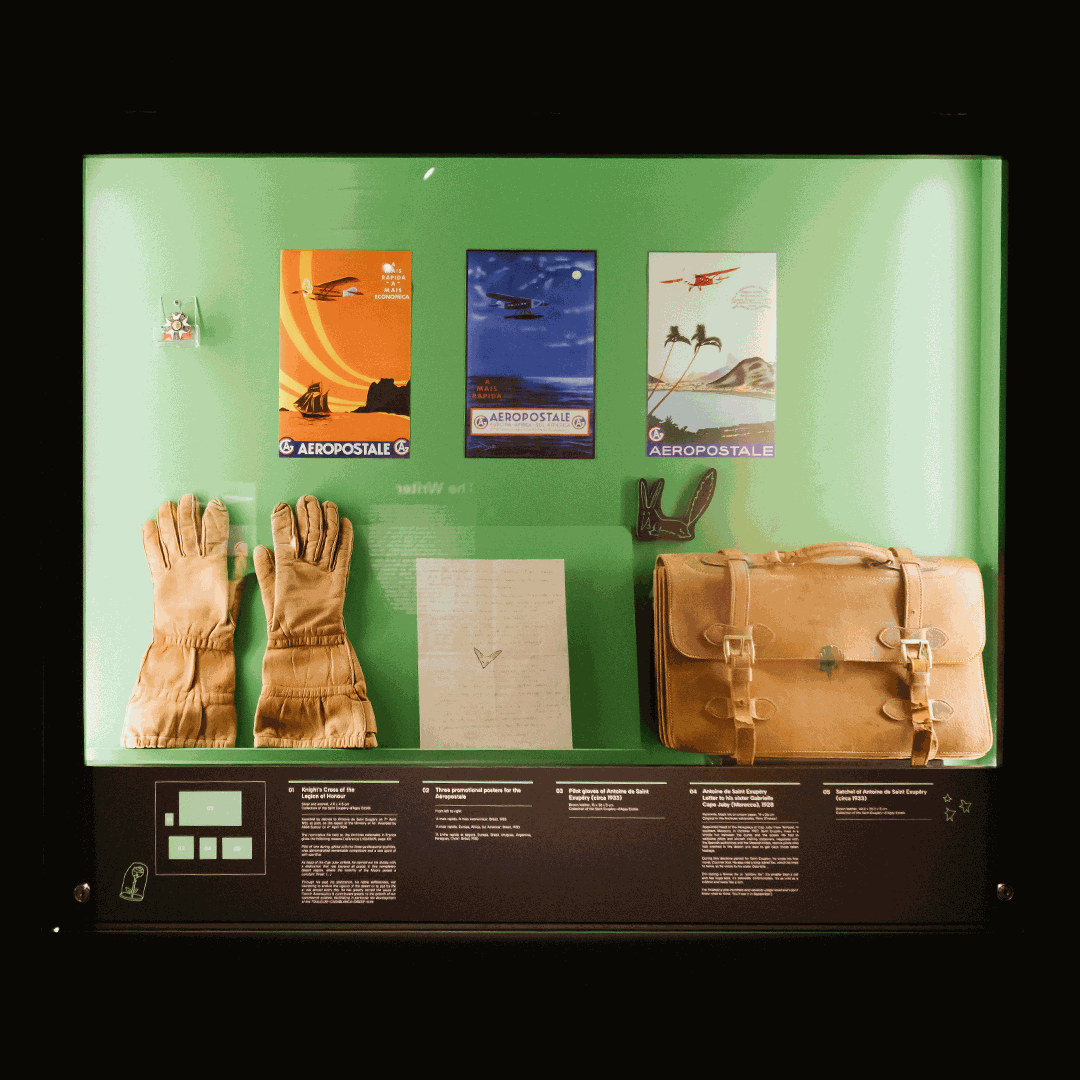 Odoo • Text and Image