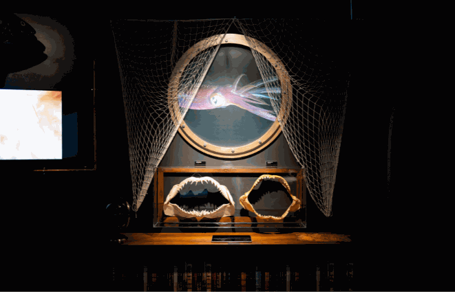 Odoo • Image and Text