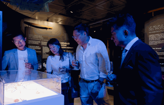 Odoo • Image and Text