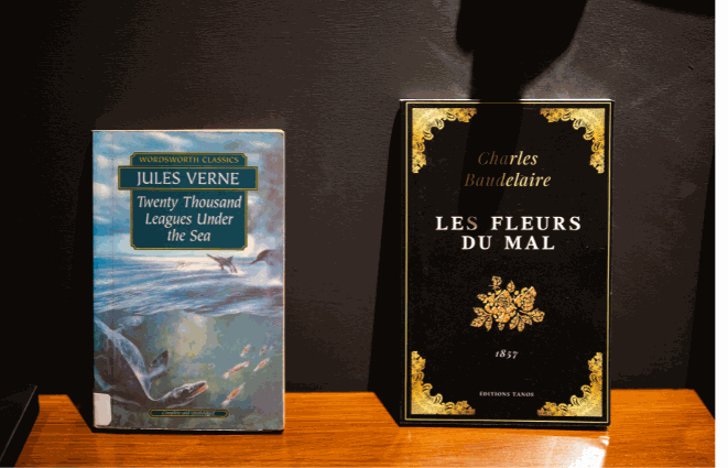 Odoo • Image and Text