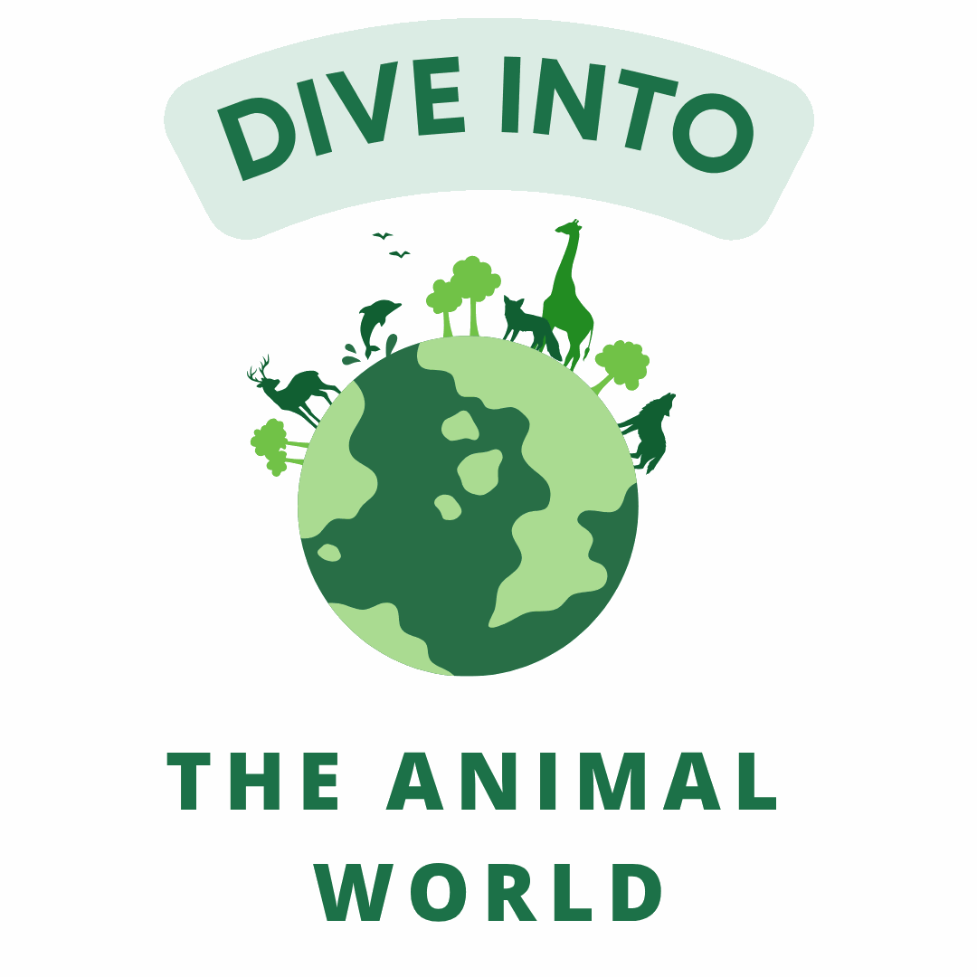 Odoo • Image and Text