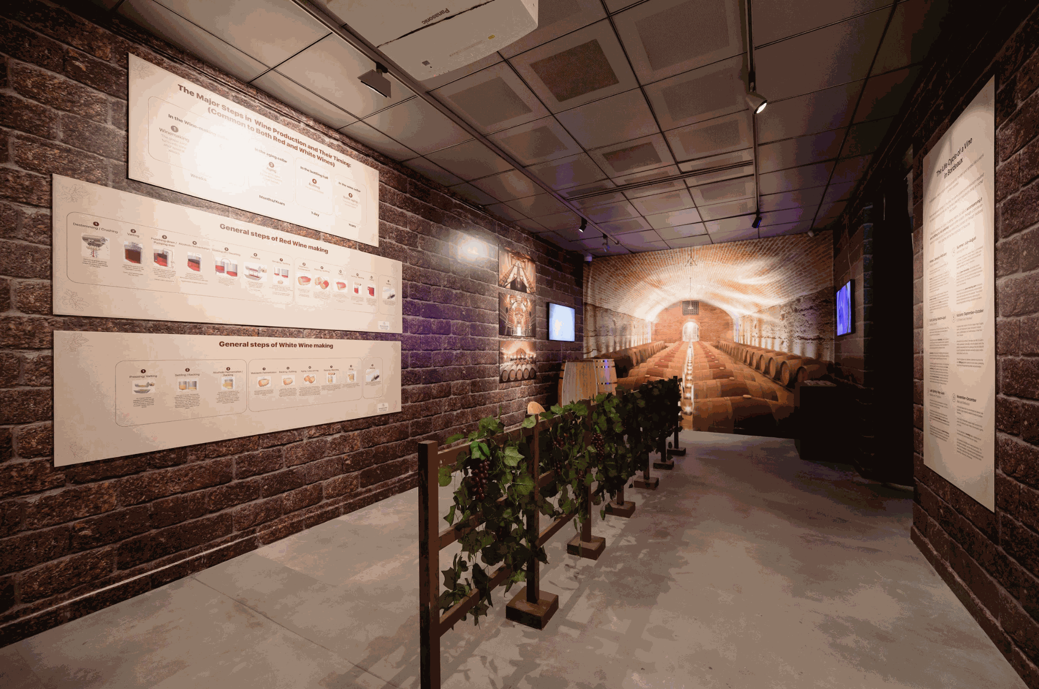 Odoo • Image and Text