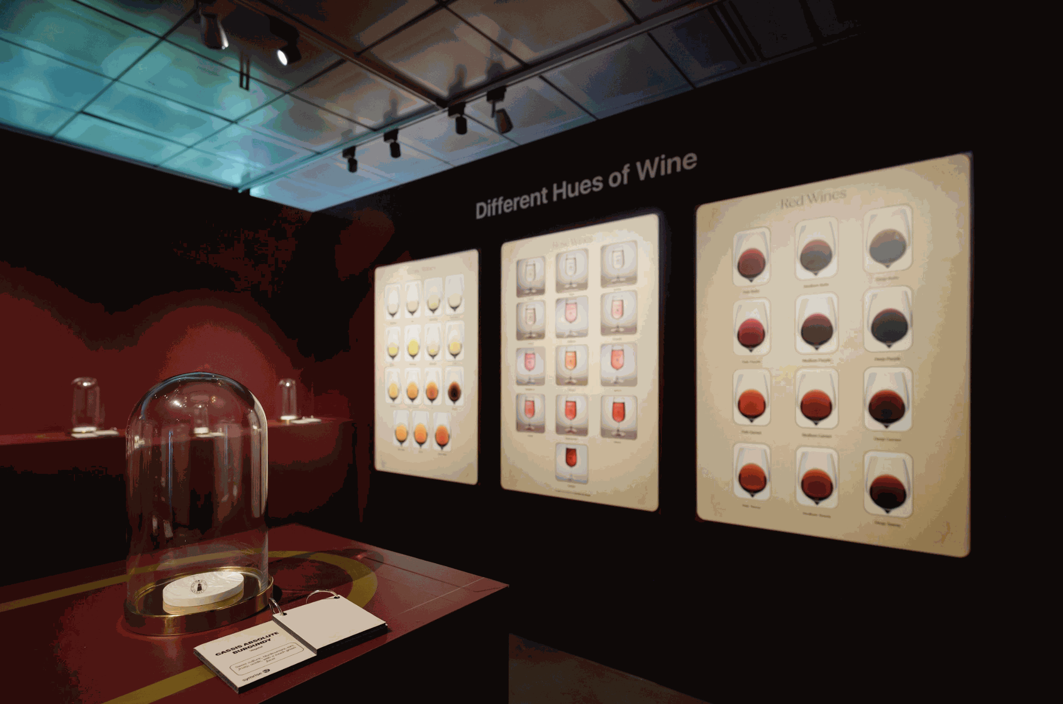 Odoo • Image and Text